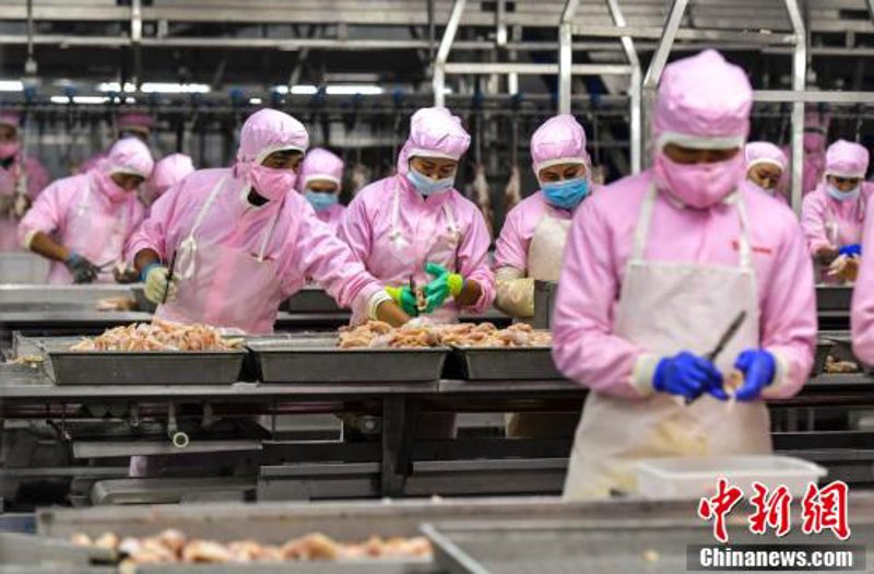 企业数字化转型:抓住机遇在变革中成长